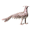 Faisán de filigrana