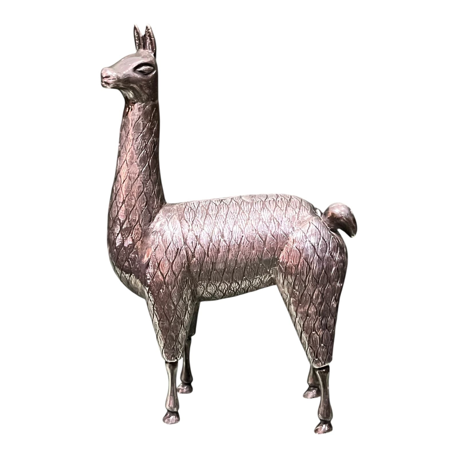 Llama de Plata