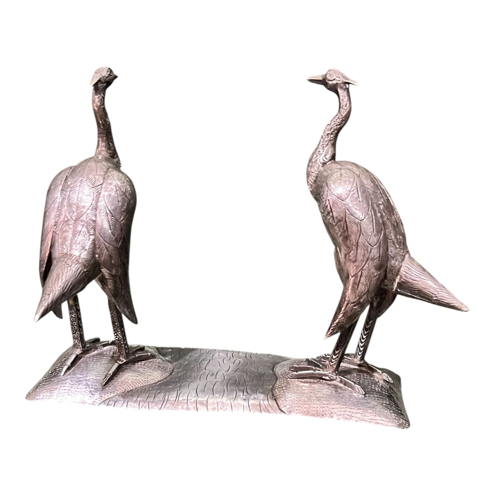 Pareja de Cóndor