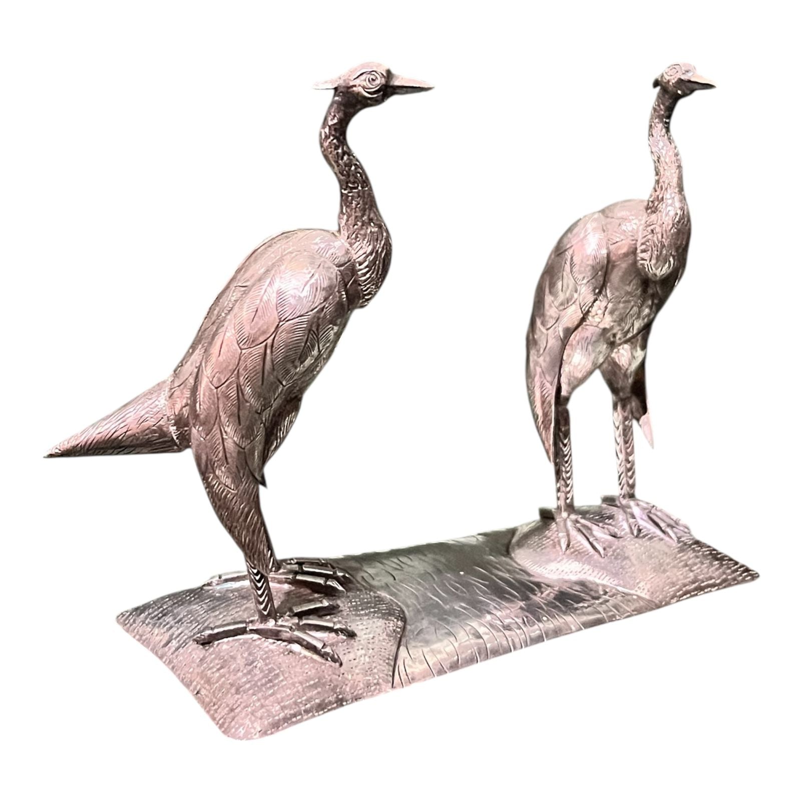 Pareja de Cóndor