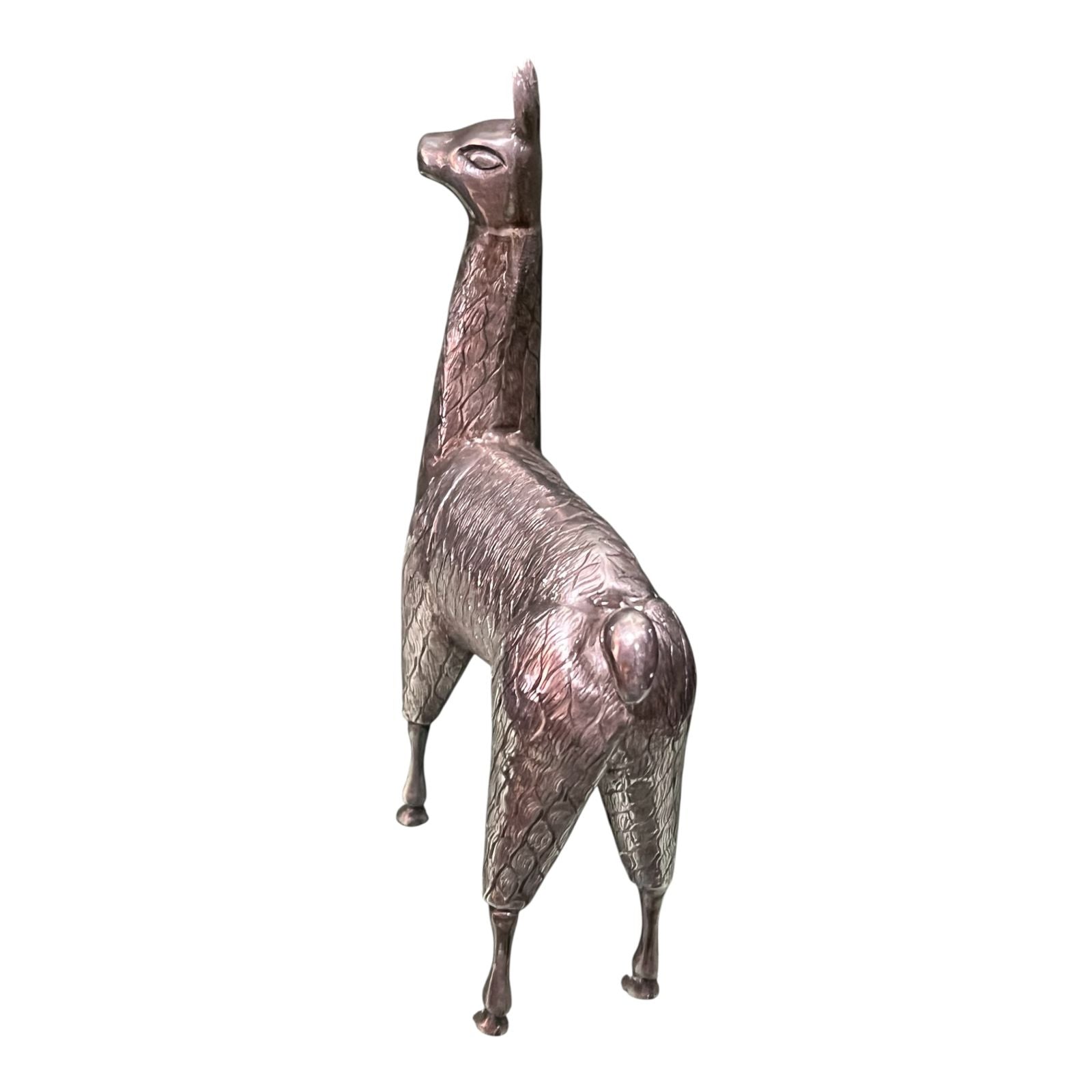 Llama de Plata