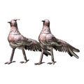 Pareja de Faisanes