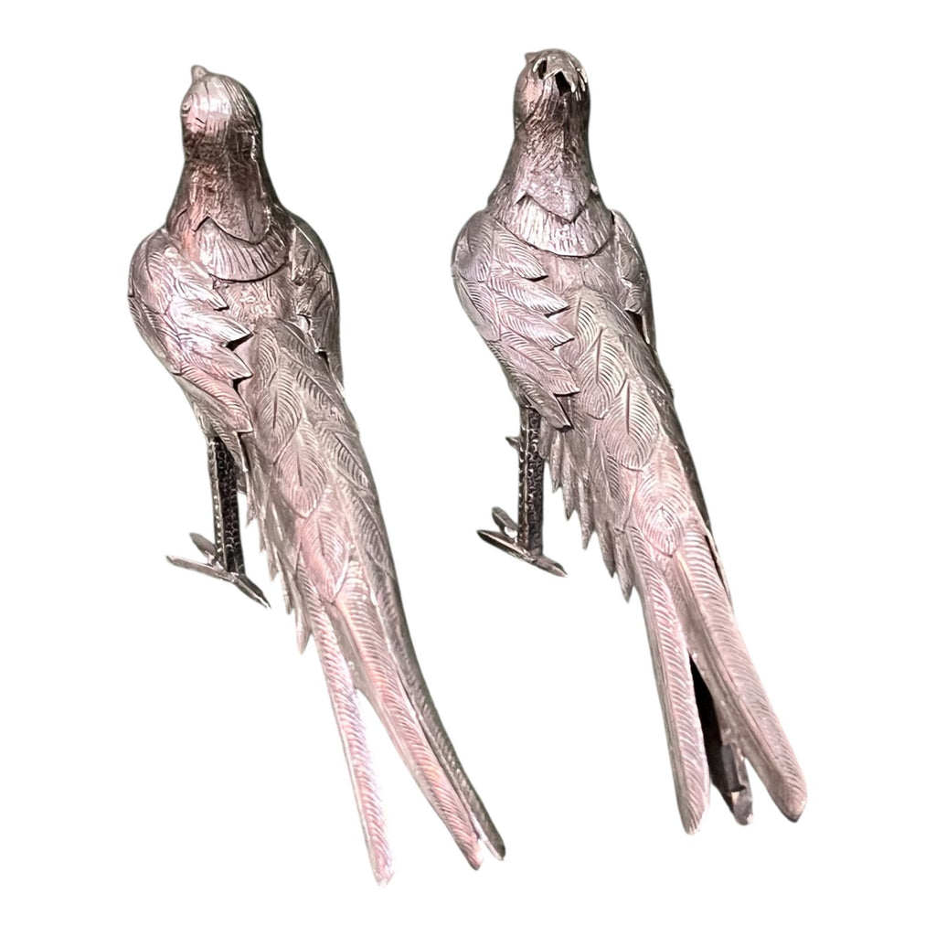Pareja de Faisanes