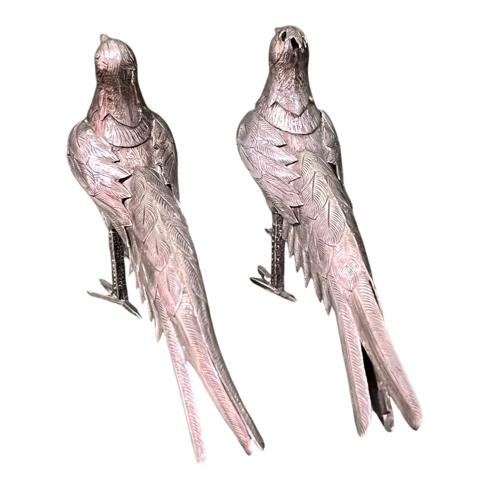 Pareja de Faisanes