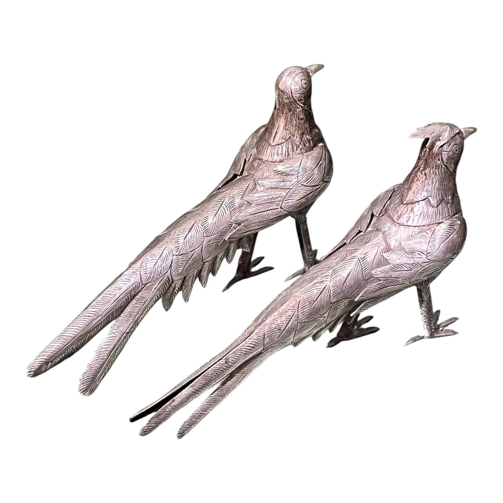 Pareja de Faisanes