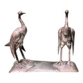 Pareja de Cóndor