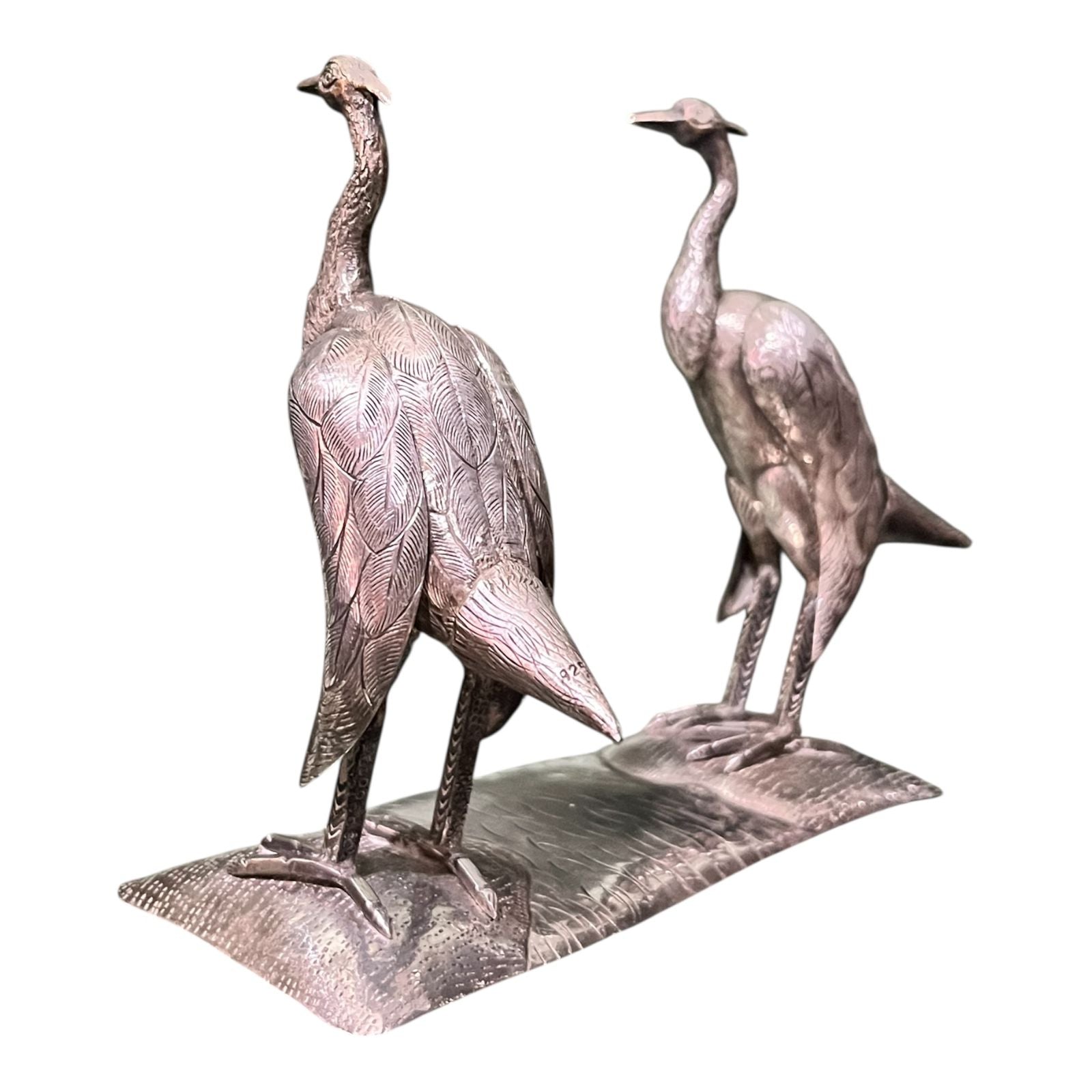 Pareja de Cóndor