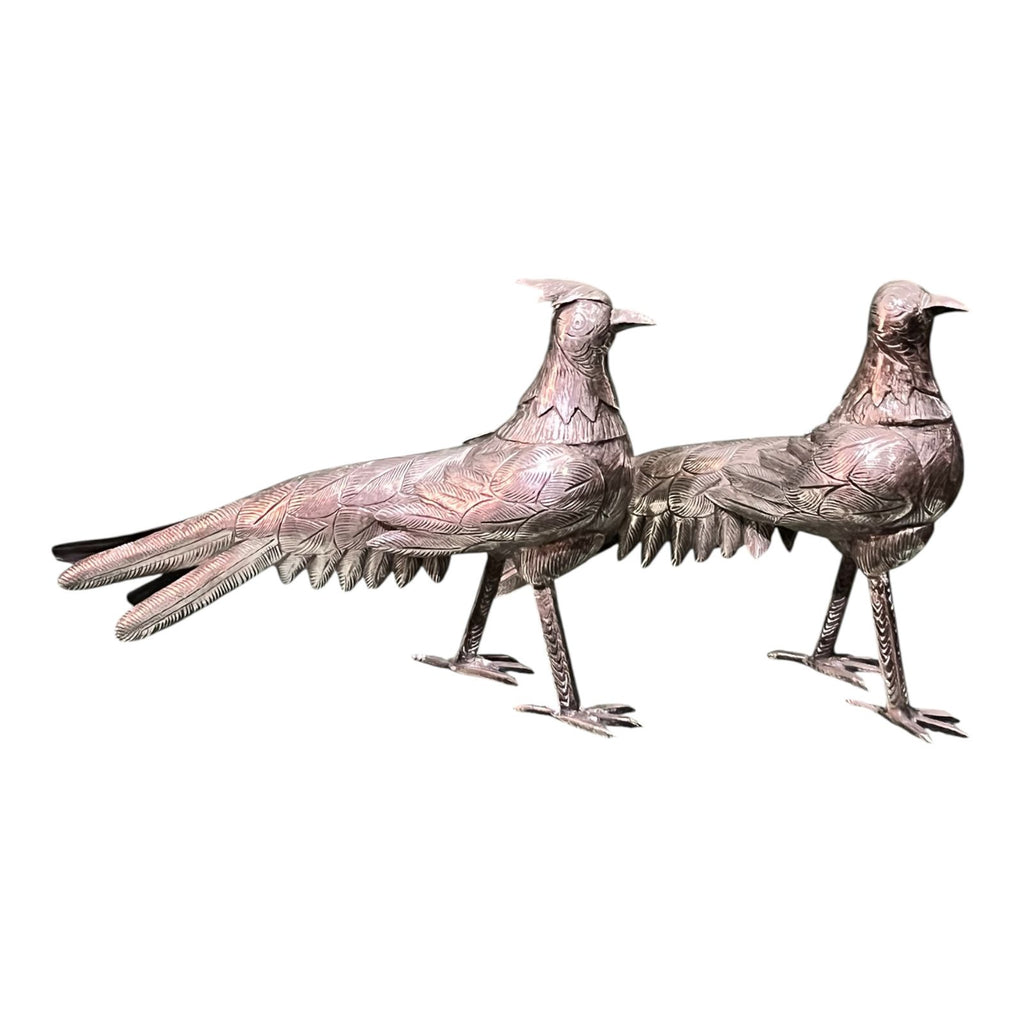 Pareja de Faisanes