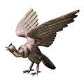 Cóndor