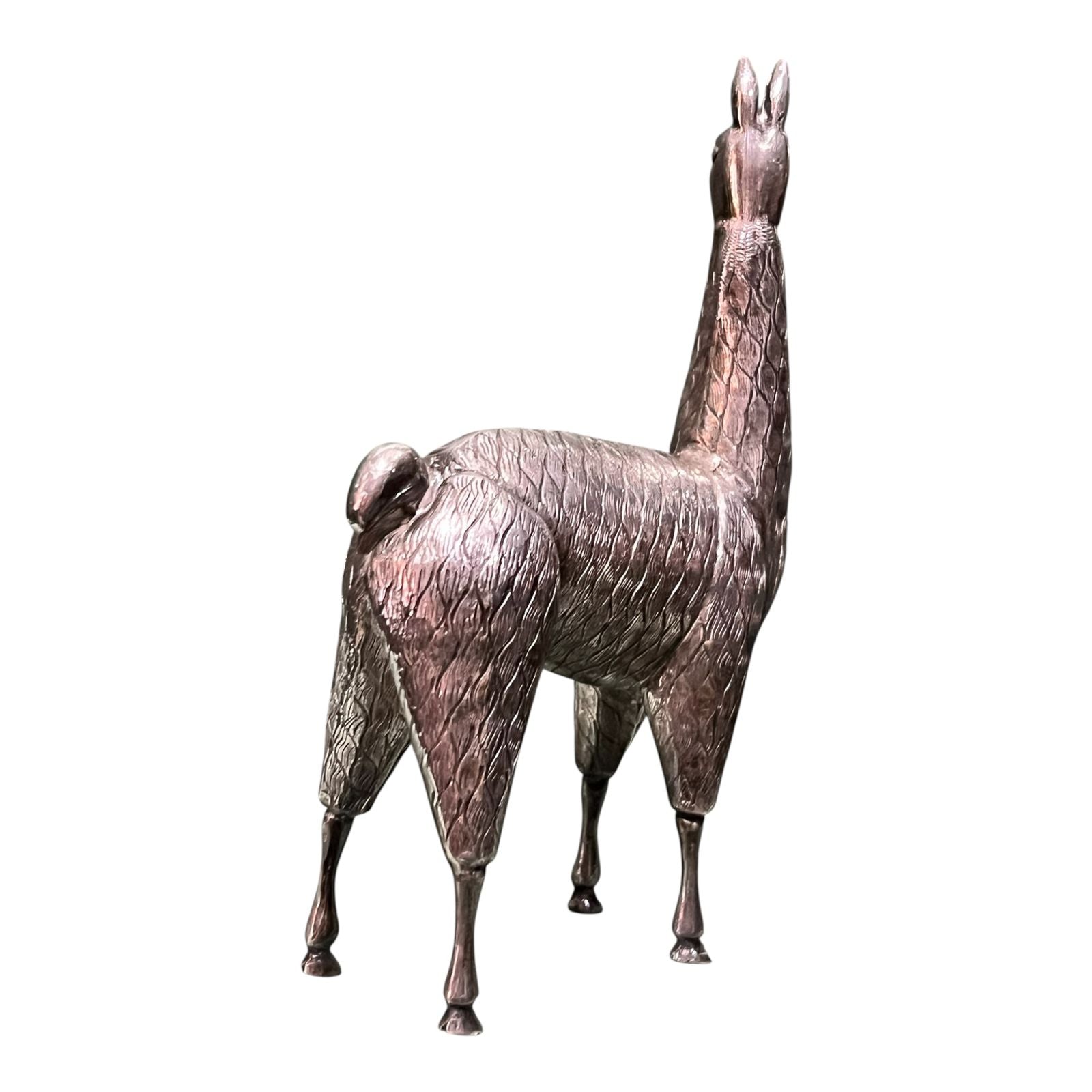 Llama de Plata